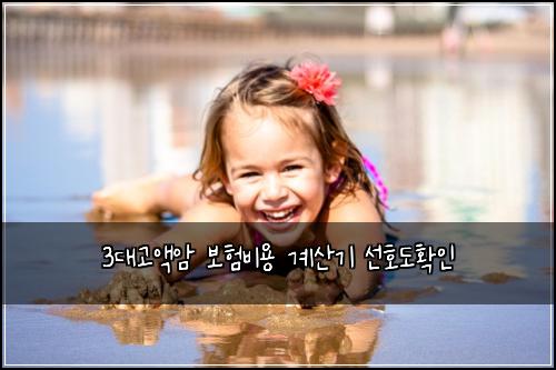 3대고액암 보험비용 계산기 선호도확인