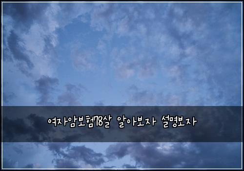 여자암보험78살 알아보자 설명보자