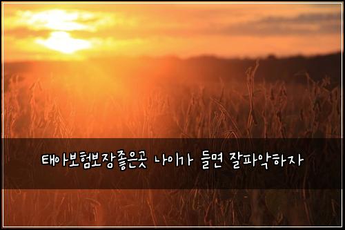 태아보험보장좋은곳 나이가 들면 잘파악하자