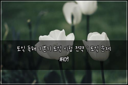 토익 독해 기본기 토익 시험 전략 : 토익 문제 #109