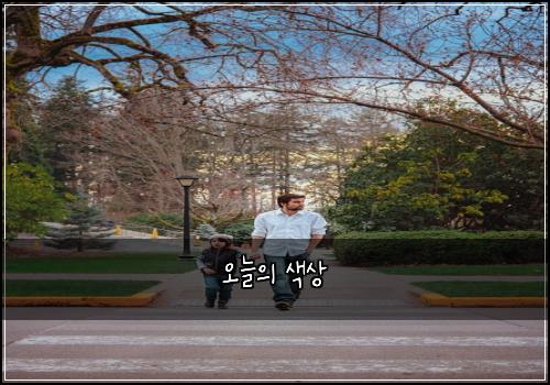 오늘의 색상