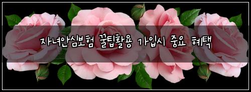 자녀안심보험 꿀팁활용  가입시 중요 혜택