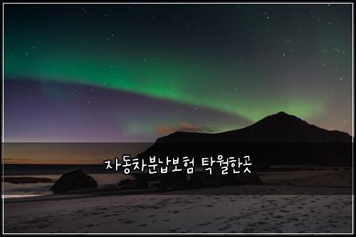 자동차분납보험 탁월한곳 