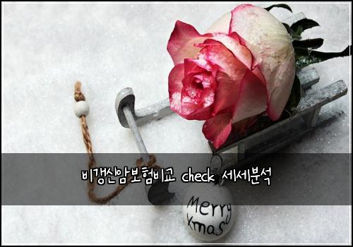 비갱신암보험비교 check 세세분석