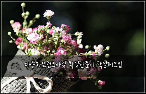 자동차보험모바일 확실한준비 핵심체크법