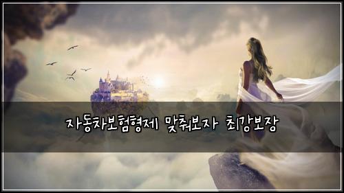 자동차보험형제 맞춰보자 최강보장