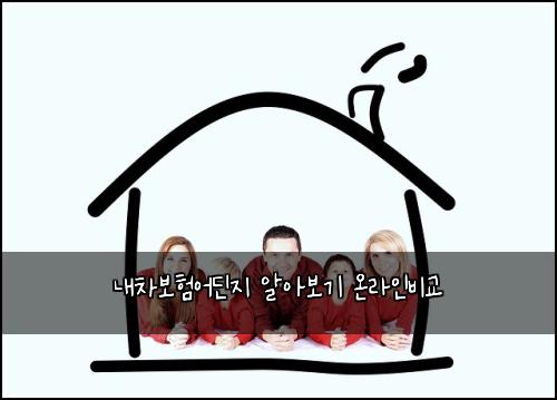 내차보험어딘지 알아보기 온라인비교