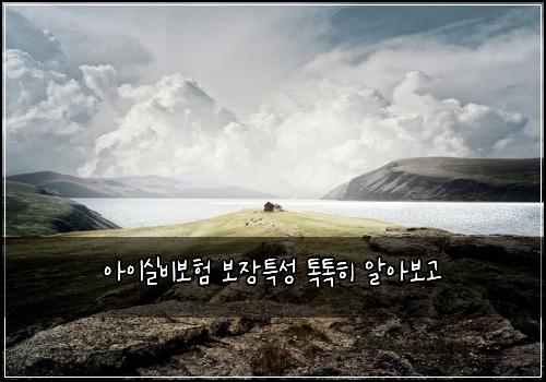 아이실비보험 보장특성  톡톡히 알아보고