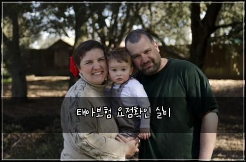 태아보험 요점확인  실비