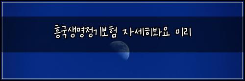 ํฅ๊ตญ์๋ช
์ ๊ธฐ๋ณดํ ์์ธํ๋ด์ ๋ฏธ๋ฆฌ