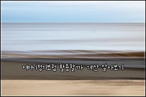 어머니정기보험 활용할까  계산 알아보기