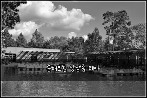 손해보험 상담좀  태아