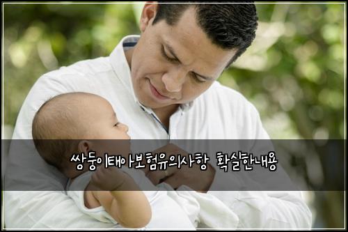 쌍둥이태아보험유의사항 확실한내용