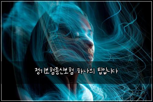 정기보험종신보험 하나의 팁입니다
