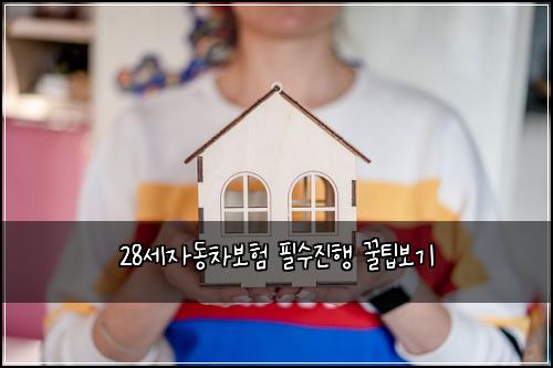 28์ธ์๋์ฐจ๋ณดํ ํ์์งํ ๊ฟํ๋ณด๊ธฐ