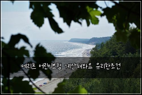 메리츠 어린이보험 계산해봐요  유리한조건