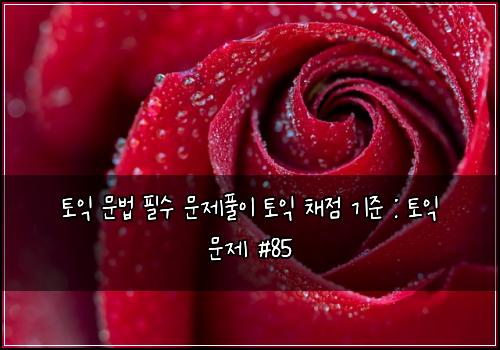 토익 문법 필수 문제풀이 토익 채점 기준 : 토익 문제 #85
