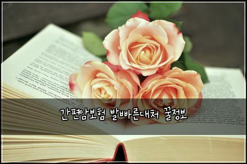 ๊ฐํธ์๋ณดํ ๋ฐ๋น ๋ฅธ๋์ฒ ๊ฟ์ ๋ณด