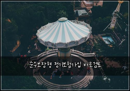 순수보장형 정기보험가입 바로검토