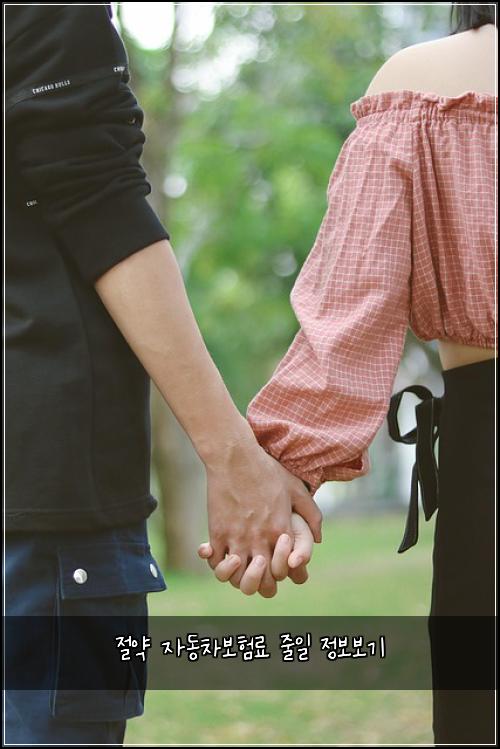 절약 자동차보험료 줄일 정보보기