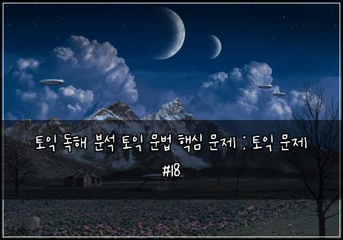 토익 독해 분석 토익 문법 핵심 문제 : 토익 문제 #18