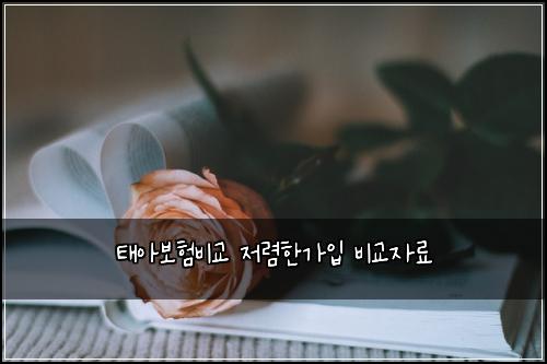 태아보험비교 저렴한가입 비교자료