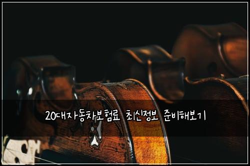 20๋์๋์ฐจ๋ณดํ๋ฃ ์ต์ ์ ๋ณด ์ค๋นํด๋ณด๊ธฐ