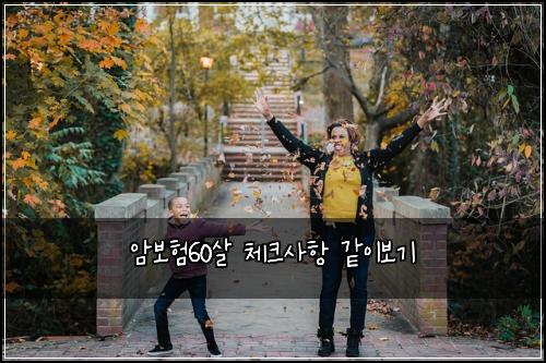 암보험60살 체크사항 같이보기