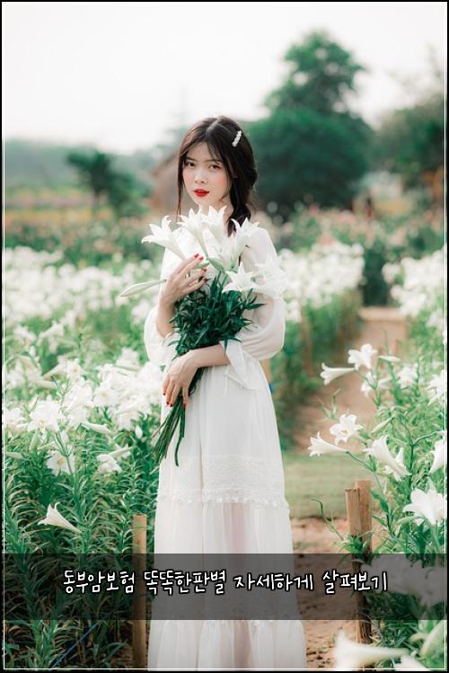 동부암보험 똑똑한판별  자세하게 살펴보기