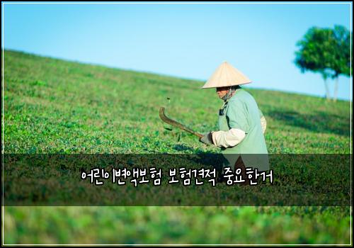 어린이변액보험 보험견적  중요한거