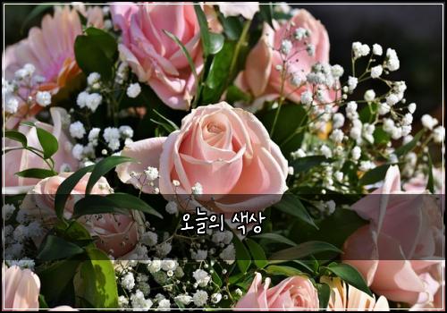 오늘의 색상