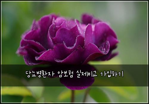 당뇨병환자 암보험 실제비교  가입하기