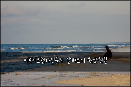 어린이보험가입순위 살펴보기 원샷원킬