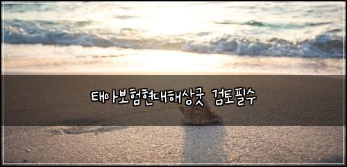태아보험현대해상굿 검토필수