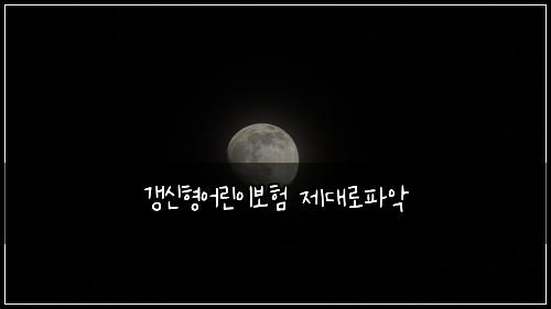 갱신형어린이보험 제대로파악 