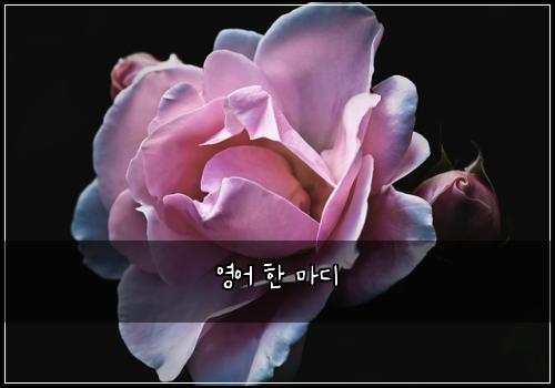 영어 한 마디
