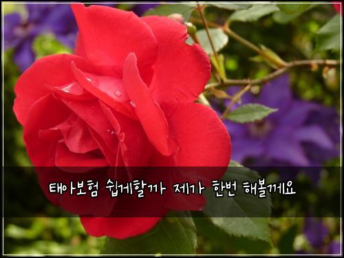 νμ보ν μ½κ²ν κΉ μ κ° νλ² ν΄λ³Όκ»μ