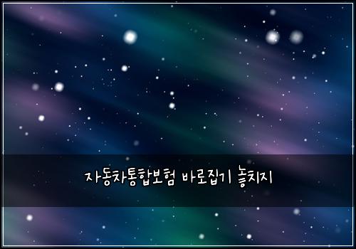 자동차통합보험 바로집기  놓치지