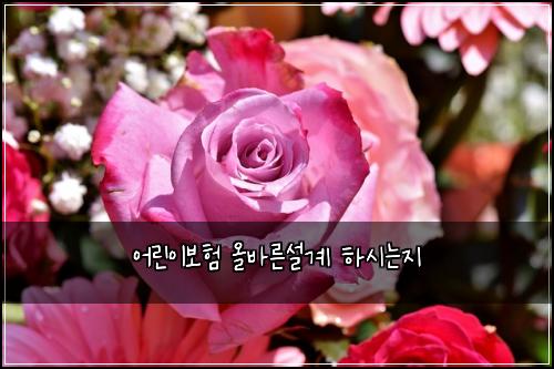 어린이보험 올바른설계  하시는지