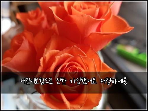 어린이보험으로 신한 가입했어요 저렴하네용
