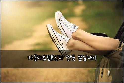 자동차보험료인하 싼곳 앞날대비