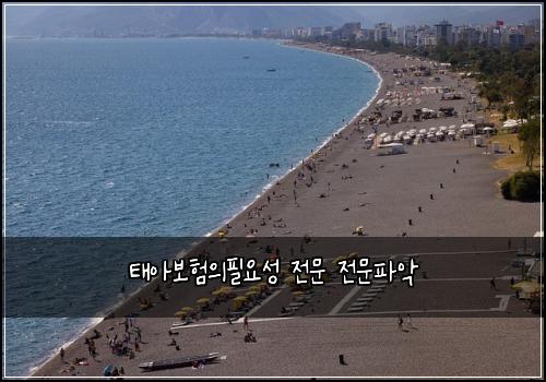 태아보험의필요성 전문 전문파악