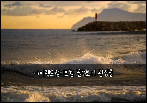 다이렉트정기보험 필수보기  관심을