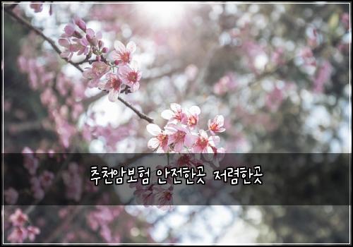 추천암보험 안전한곳  저렴한곳