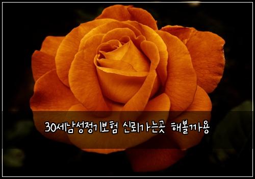 30세남성정기보험 신뢰가는곳  해볼까용