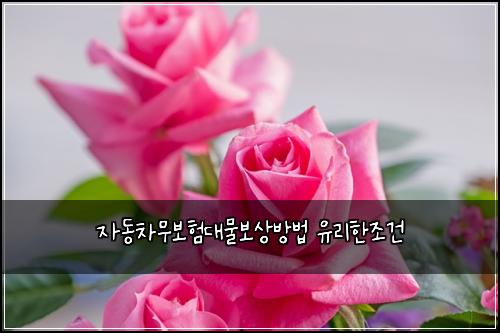์๋์ฐจ๋ฌด๋ณดํ๋๋ฌผ๋ณด์๋ฐฉ๋ฒ ์ ๋ฆฌํ์กฐ๊ฑด