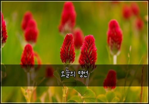 오늘의 명언