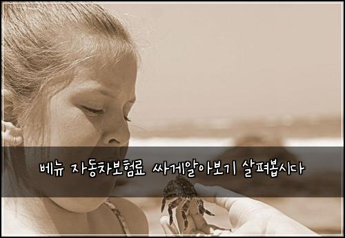 베뉴 자동차보험료 싸게알아보기 살펴봅시다