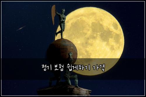 정기 보험 쉽게하기  가격