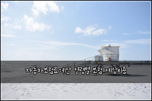 ์๋์ฐจ๋ณดํ๋ฃ๊ณ์ฐ ์ฐ๋ น๋ณ ๋ณดํ ์์๋น์ฉ